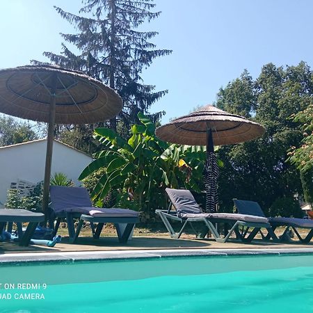 Bed and Breakfast Mas Des Vignes Piscine Chauffee Le Champ-Saint-Pere Экстерьер фото
