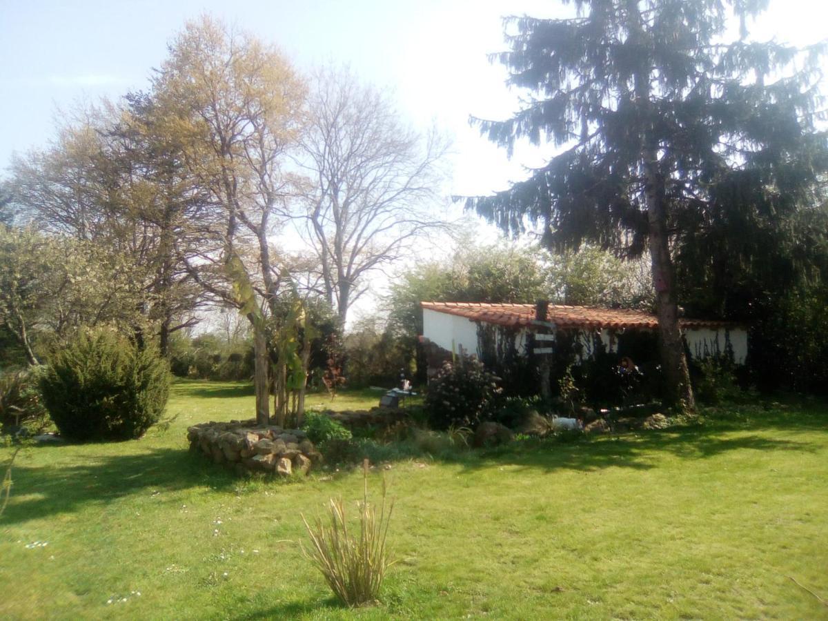 Bed and Breakfast Mas Des Vignes Piscine Chauffee Le Champ-Saint-Pere Экстерьер фото